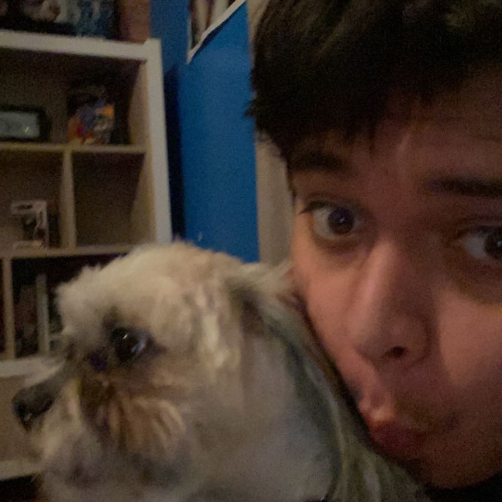 Meet your Posher, Martin